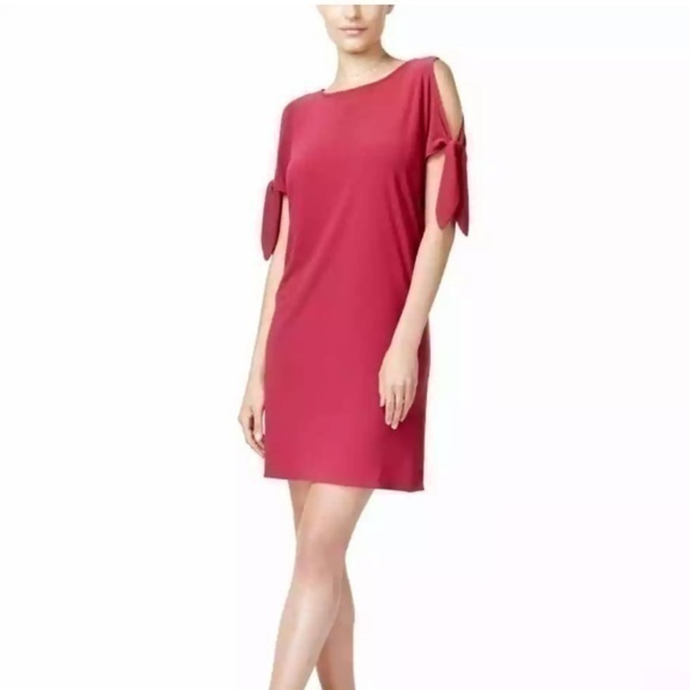 Woman’s Bar III Tie Sleeves Mini Cocktail Dress